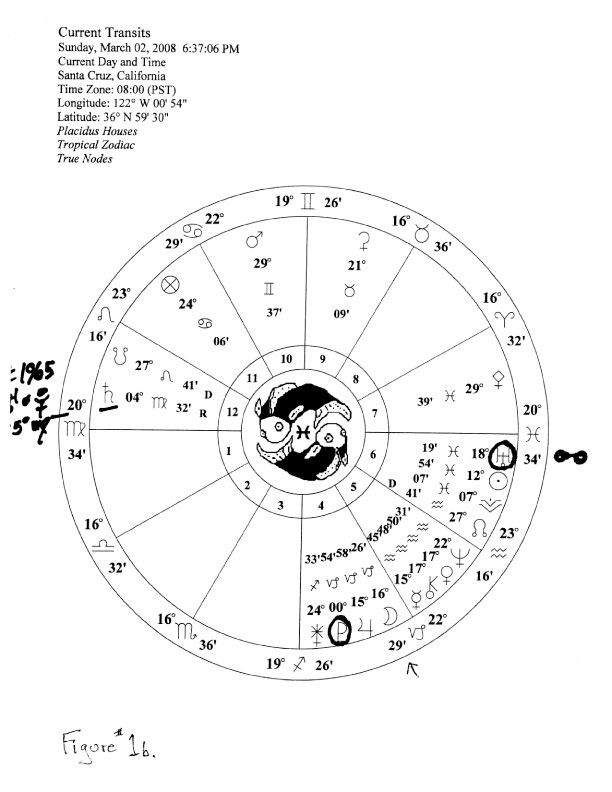 figure 1b