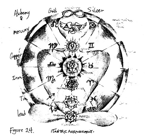 figure 24